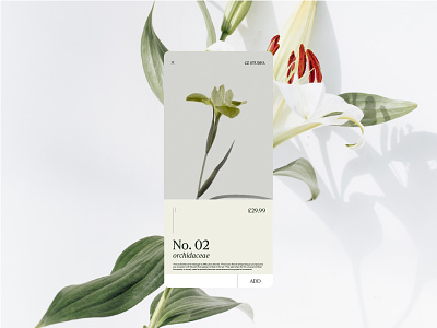 A Florist's Favourite App app branding design flat graphicdesign minimal web