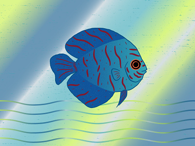 Discus #Gillustration discus fish gillustration illustration vector
