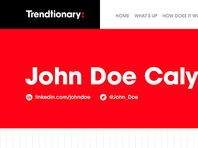 Trendtionary Profile assets dictionary header menu purple red sprite ui user ux violet webdesign