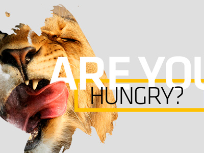 Are you hungry? animal lion national geographic typeface