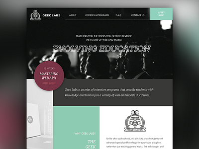 Geek Labs Home design education flat school ui web website