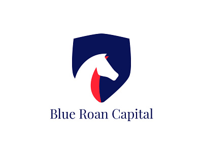 BLUE ROAN CAPITAL LOGO Deesign branding clean identity illustration logo minimal