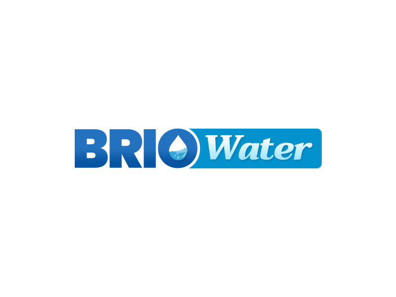 Brio Water Logo minimal typography illustration logo branding