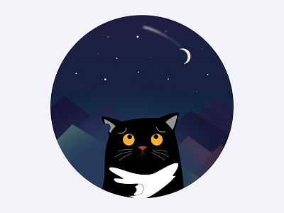 Miss U cat，black，night，miss graphic illustrator sketch