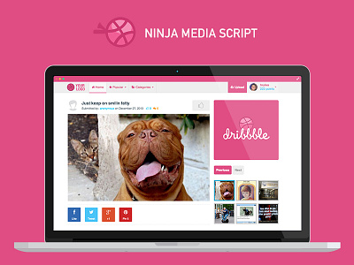 Ninja Media Script - Awesome fun media sharing script bootstrap3 codecanyon envato funny pics funny pictures laravel media share php responsive