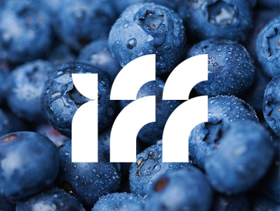 iff brand identity food and drink fortune 500 logo