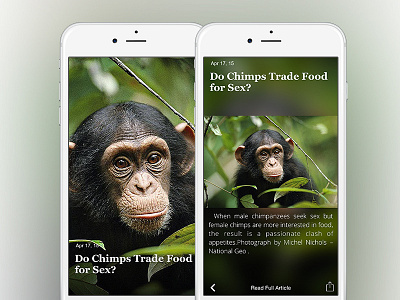 your S C I E N C E app app store feed ios news rss science ui