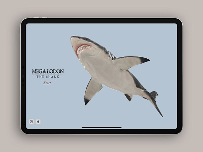 Megalodon Designs Themes Templates And Downloadable Graphic Elements On Dribbble