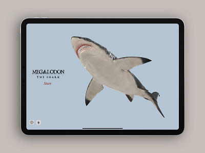 Megalodon app app store dinosaurs education app ios ipad iphone megalodon reference shark shark week sharkweek