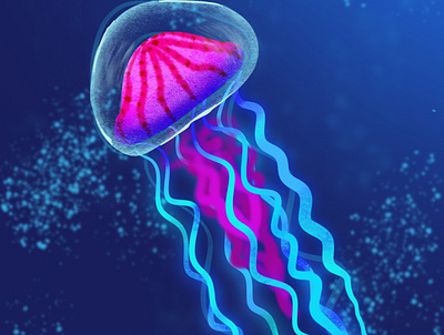 JellyFish bioluminescence jellyfish neon procreate