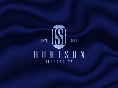 H + S -Logo Concept