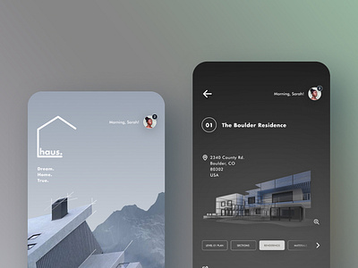 Haus dailyui design illustration uxdesign