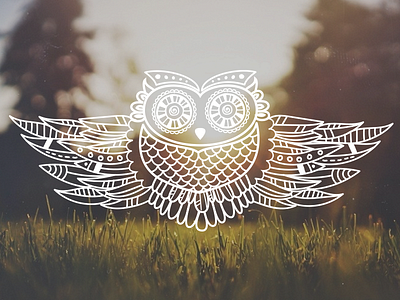 Owl owl