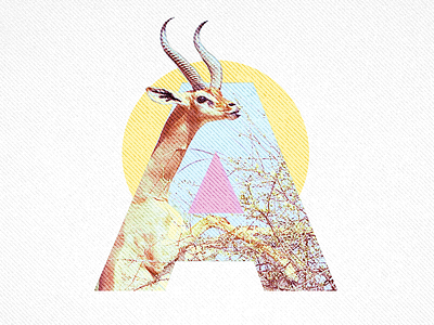 A - Antilope a antilope letter typography