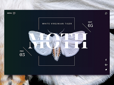 Daily UI #4 dailyui landing moth page typography ui ux