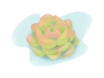 Succulent illustration illustrator plant logo succulent texture