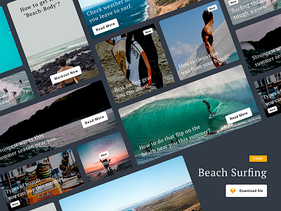 Beach Surfing Article Cards article beach beach surfing blog design surf surfing