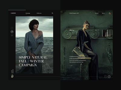 Carine fashion store - Simply Natural Fall/Winter Campaign clean fashion layout modern typography ui ux web webdesign