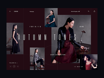 Carine fashion store - Fall/Winter clean dark fashion layout modern typography ui ux web webdesign