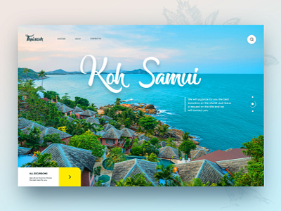 Koh Samui concept beach concept creativity daily flying landing samui sea thailand ui uidesign ux webdesign website