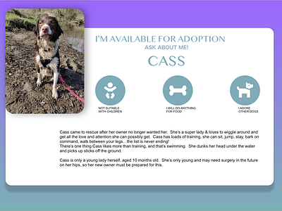 DAILY UI 006 adobexd adoption animal animal pet clean daily dailyui design dog fresh gradient invisionstudio minimal profile ui ux webdesign