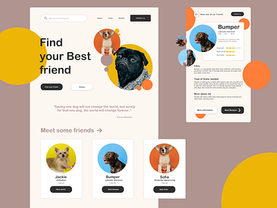 Dog adoption Website design adopt adoption app app design app designer design dog dog adoption dog app dogs sketch ui ux