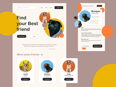 Dog adoption Website design