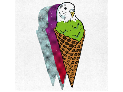 Parakeet Treat alex despain graphic design illustration