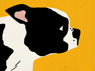 Rorschach, The Boston Terrier alex despain boston terrier dog illustration portland rorschach