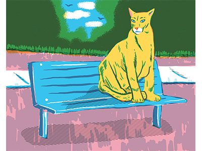Downtown Cougar artwork bench colors cougar design editorial illustration