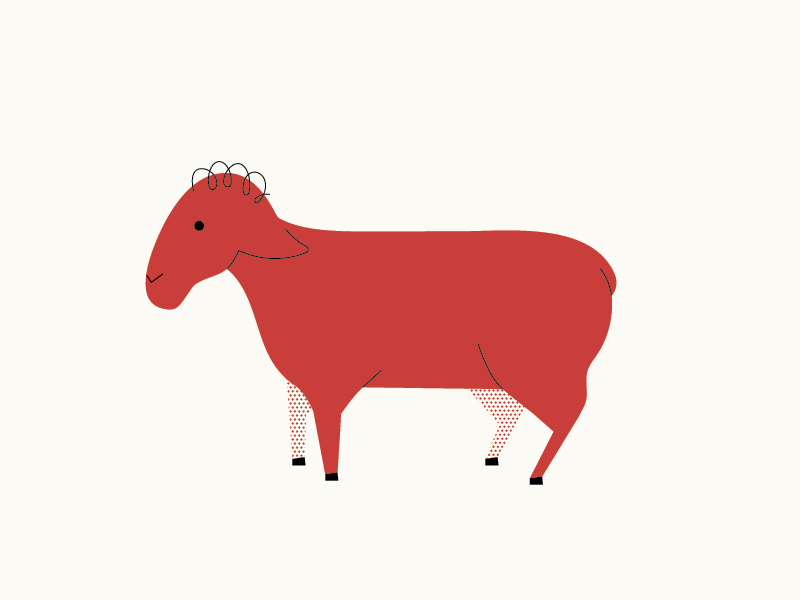 The Unsheared Sheep animal animation farm illustration sheep