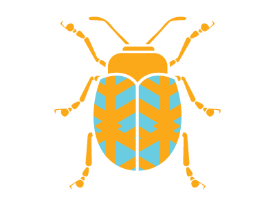 Bug beetle bug illustration insect