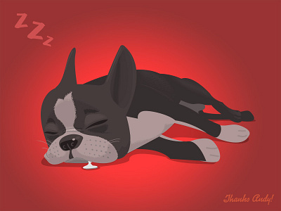Connor Play boston cute dog dribble fur sleeping terrier