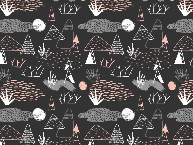Desert by Joyelle Komierowski on Dribbble
