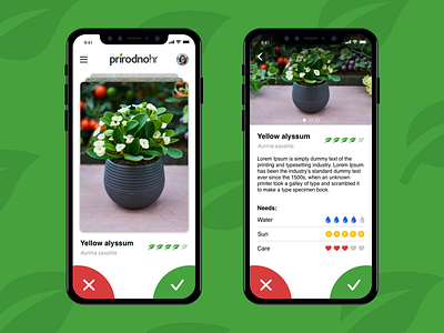 Plant tinder app design designslices ux