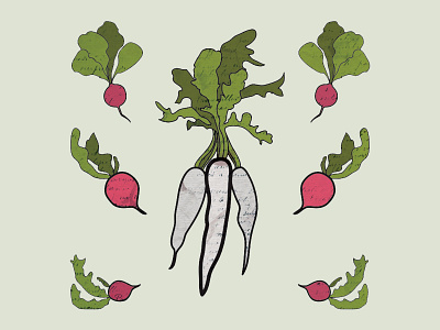 Provisions Radish Preview