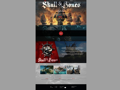 Skull And Bones Concept ui ux web