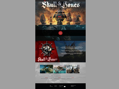 Skull And Bones Concept