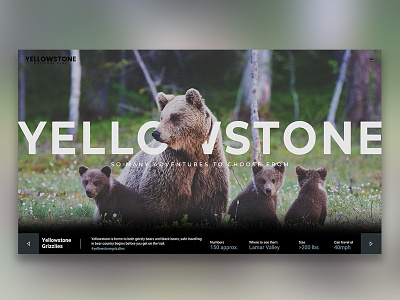 Yellowstone National Park Landing Page design graphic design logo national parks typogaphy ui web web design website