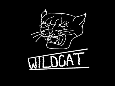 Wild (house) Cat branding character clean design digital hand drawn icon identity illustration illustrator lettering logo minimal mobile texture type typography vector web website