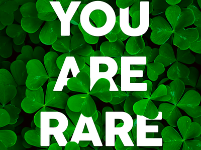 You Are Rare art clover digital graphic design leafs