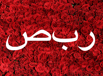 Patience arabic arabic logo art graphic design graphics illustrator islamic islamicart patience photoshop roses