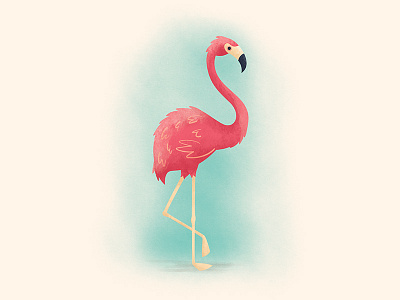 Flamingo animal bird flamingo illustration pink texture tropical