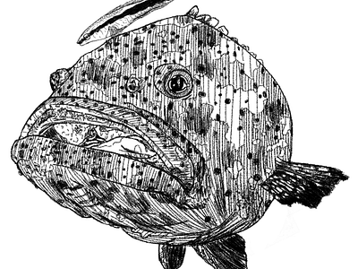 Epinephelus malabaricus animals art biology design digital art drawing fish flat grouper illustration ocean science sea sketch wildlife wildlife art