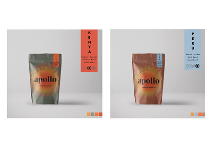 Apollo Branding Concept
