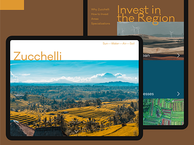 Zucchelli brown clean composition design ipad layout minimalist modern sans serif typography ui web web design website