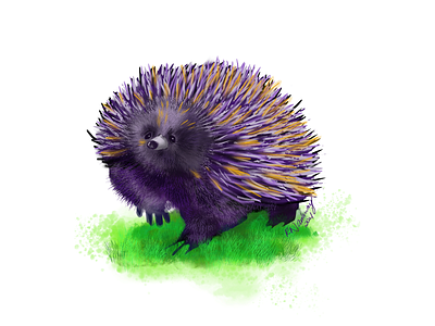 Australian Echidna - purple 2021