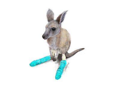 Australian Kangaroo joey in bandages 2021 adobe animals artwork australia baby cintiq16 design draw fresco illustration injury joey kangaroo native nature realistic wacom wildlife