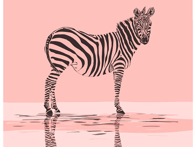 Zebra design icon illustration