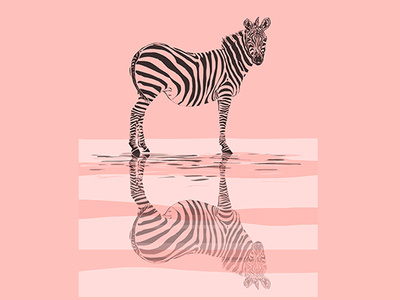 fullsize zebra ad reflection in Pink animal coloful design illustration reflection study
